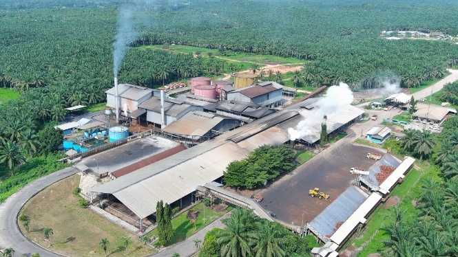 Palm Oil Mills