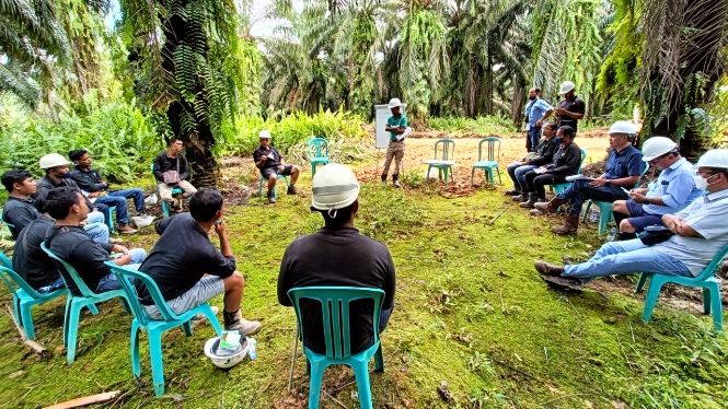 Smallholder Partnerships